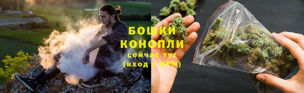 сатива Армянск