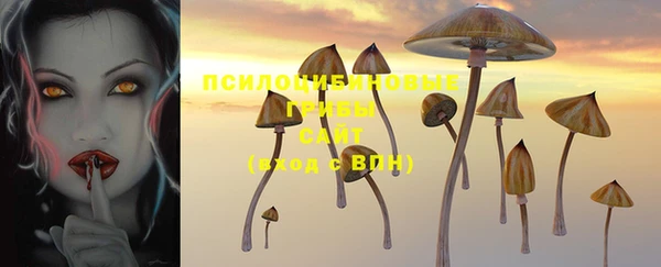 сатива Армянск