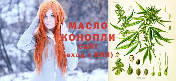 сатива Армянск