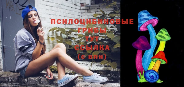 твердый Арсеньев