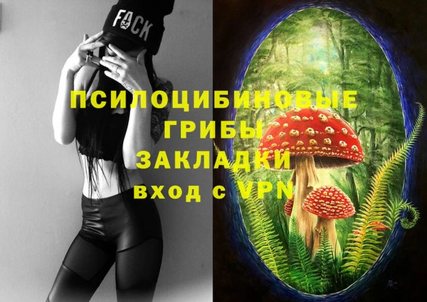 сатива Армянск