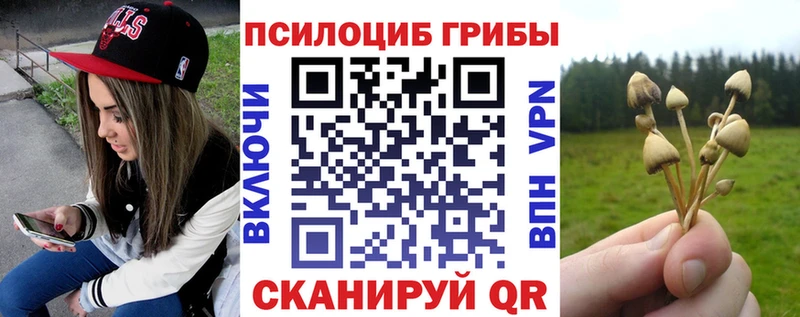 Галлюциногенные грибы Cubensis Багратионовск